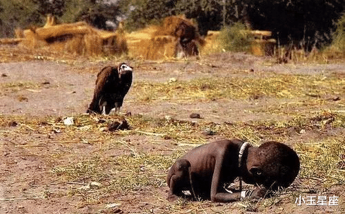 女孩 一张获奖照片：秃鹫站在女孩身后等她死去，作者备受质疑自杀身亡