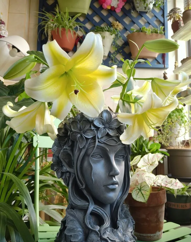 6㎡封闭阳台造花园，1寸空间也不浪费，不出门也能看风景