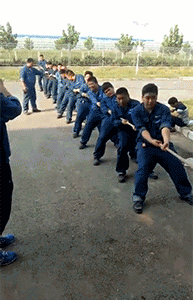 日本天皇|“日本天皇19岁独生女照片流出，这么有点像张大大呢！”哈哈哈