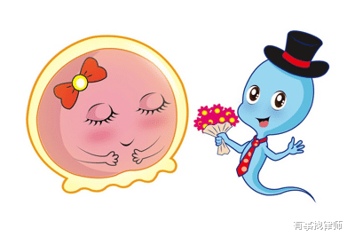 有事找律师 法律保护非法的借精生子行为吗?