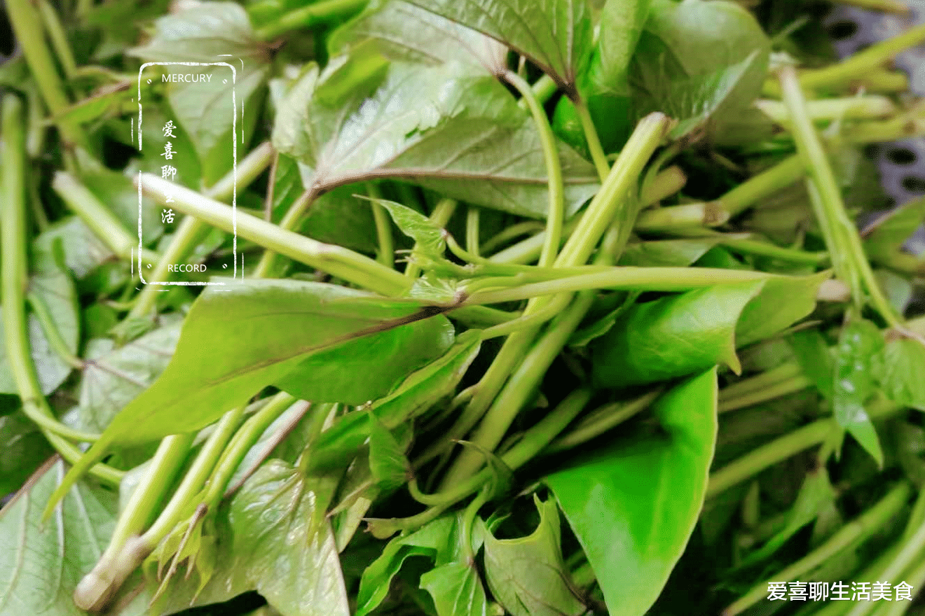 红薯|七月茄子黄瓜都靠边站，最该多吃的菜是它，美容养颜，不吃真可惜了