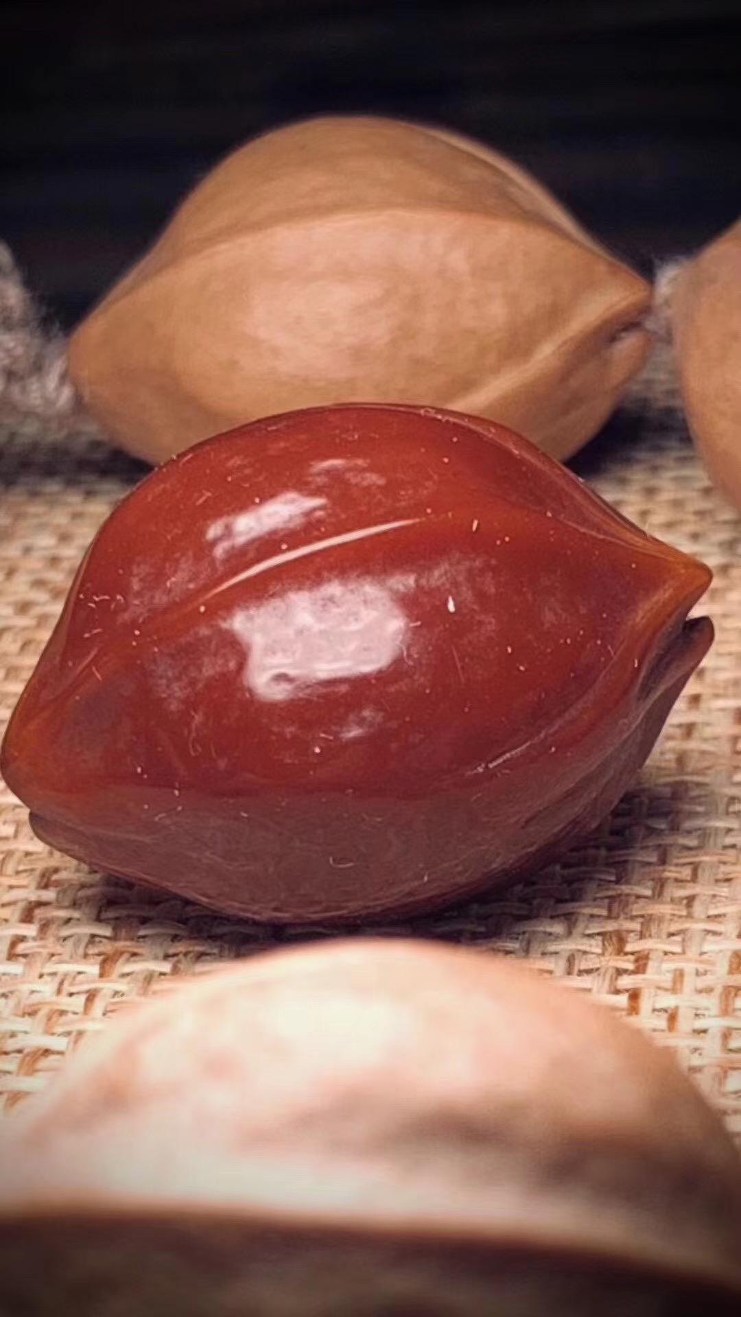 橄榄核|橄榄核新核什么颜色？橄榄核新核和老核如何区别？