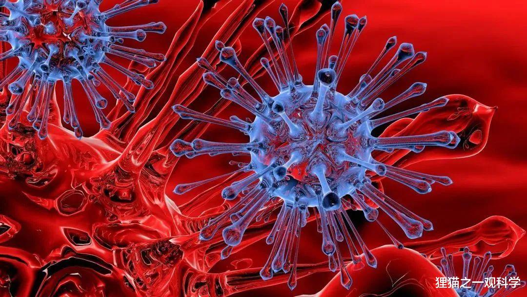 猛犸象 美国专家拟在6年内复活猛犸象?并非严格的猛犸象,这是一场闹剧还是壮举?