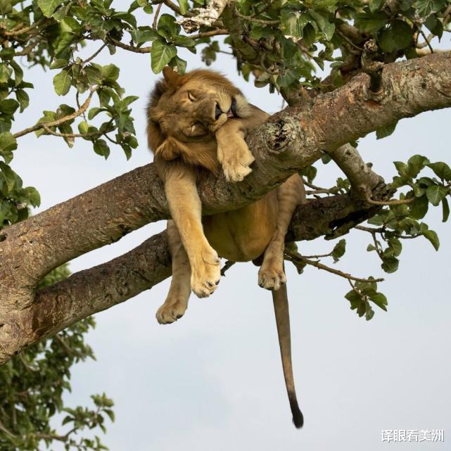 太空 22张不可思议的照片 带你看大千世界