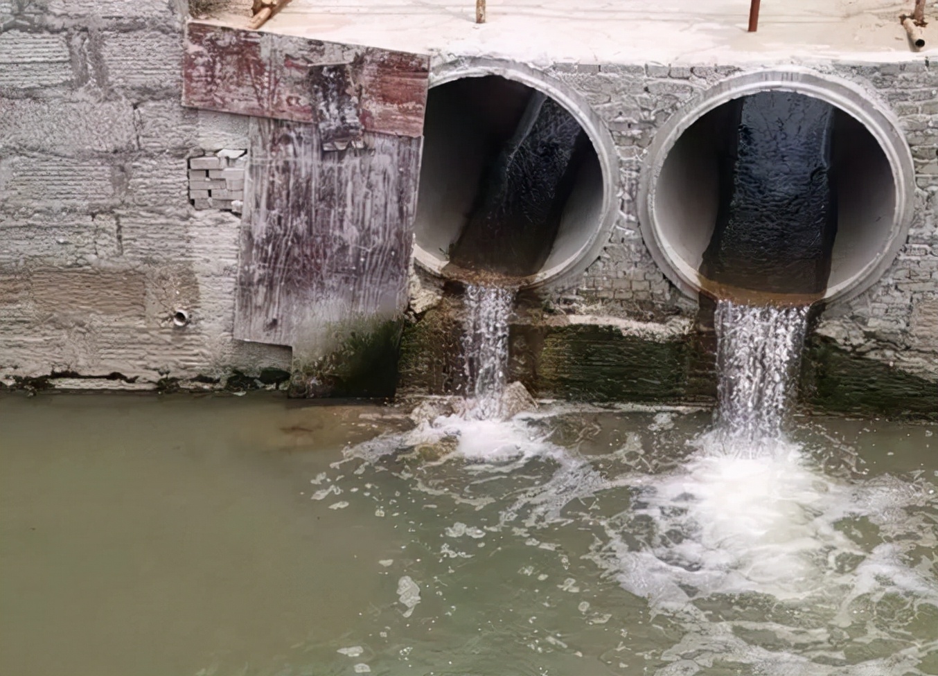 浮游生物|识水色辨鱼情，能不能下竿钓鱼，分清楚水色就可以了