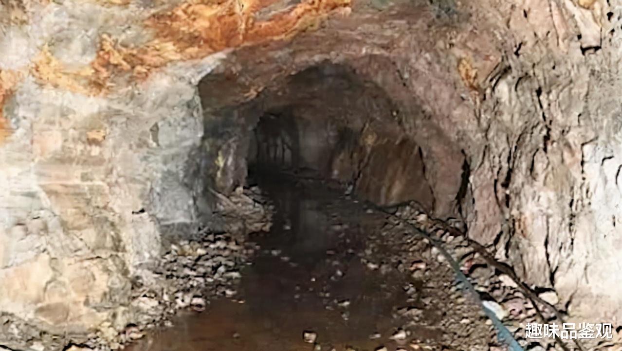  网传世界名人、皇室成员是蜥蜴人？你相信蜥蜴人存在吗？（上）