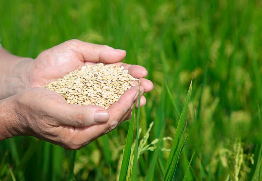 通货膨胀 若是通货膨胀,房、车将变得都不值钱?只有“它”才是硬通货