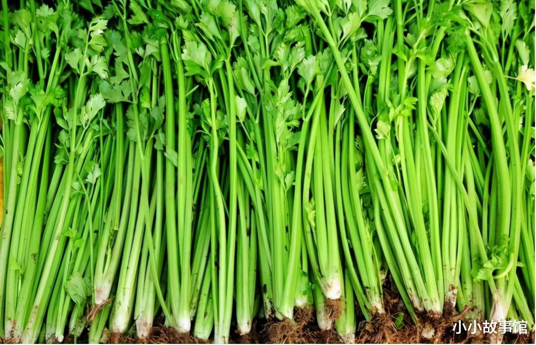 小小故事馆|2种蔬菜是娃长高的“绊脚石”,提醒家长:发育难,少给孩子吃