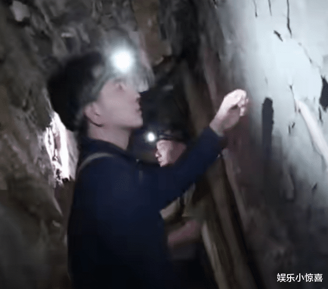 基因 林生斌新进展!知名导演举报其盗挖古生物化石,或将被判10年