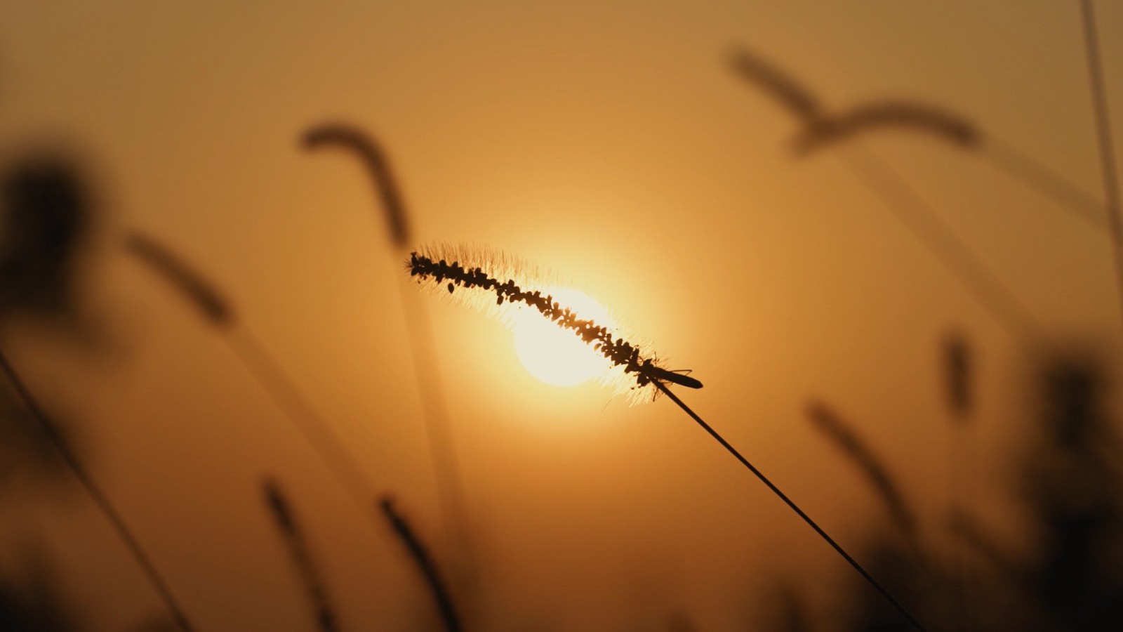 肖战|“舆论场”造就出的英雄！“三剑客”转移战场，黑肖战的难获流量