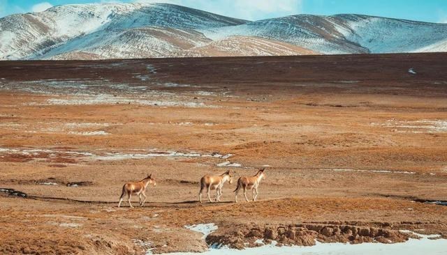 涠洲岛 5月旅行去哪里？这6处经典目的地，月薪三千也能实现“旅行自由”