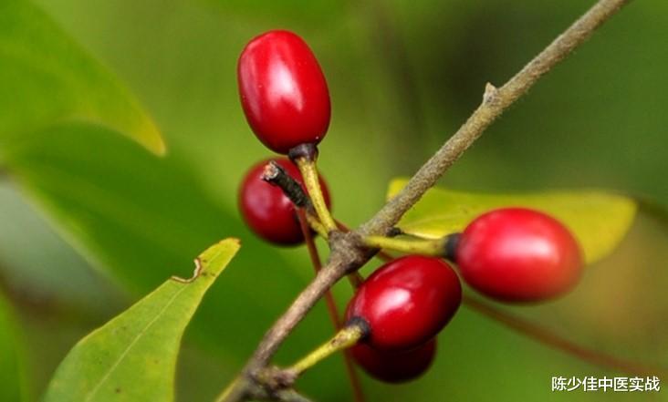 疫苗|医案分享：痛经--痛经一号