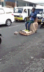 江豚|“马总化腾的女儿,以后谁娶了她就不用愁了”