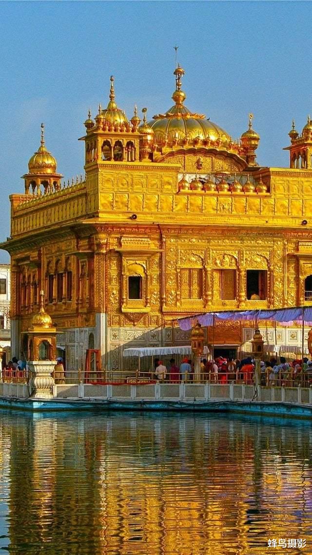 猩猩 30张罕见的照片，双头蛇2个头同时吃东西，猩猩妈用小猩猩擦屁股