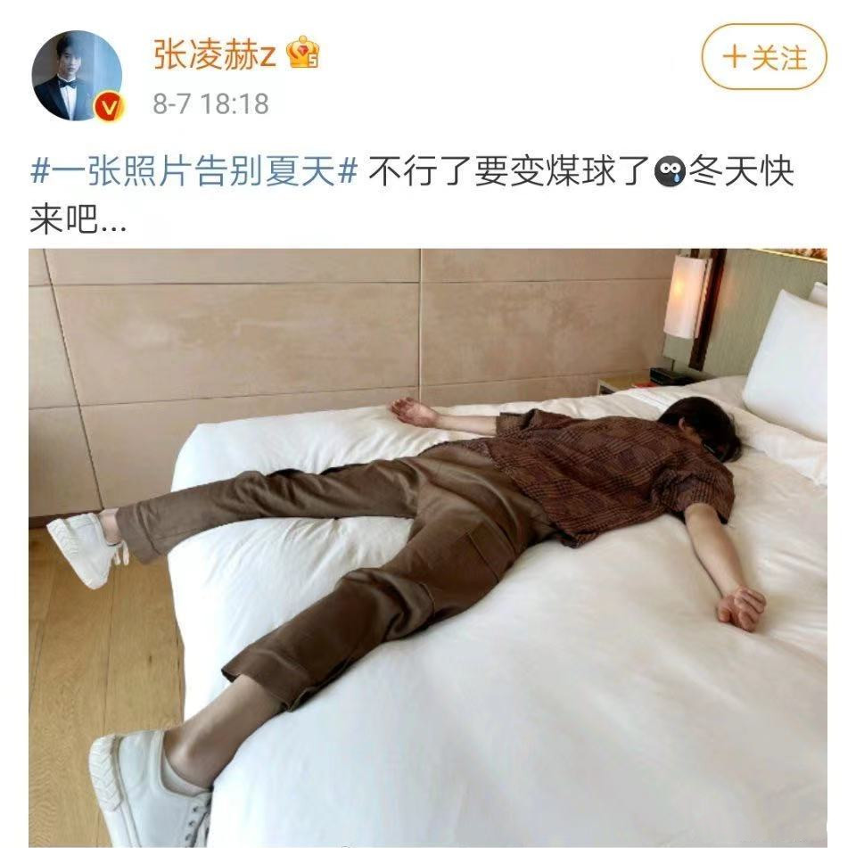 龚俊|龚俊和丁真组“浪浪丁”CP？翟潇闻、张凌赫对张哲瀚形成威胁