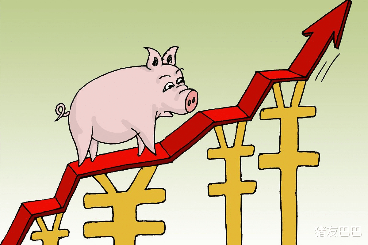 养老金 猪价10连跌,行情跌入“寻常价”,猪价要涨翻天?2个好消息!