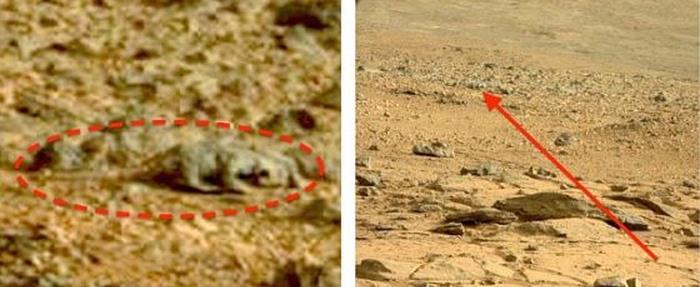 火星车很早就发现火星生命了?机遇号拍到“蜥蜴”,它到底是啥?