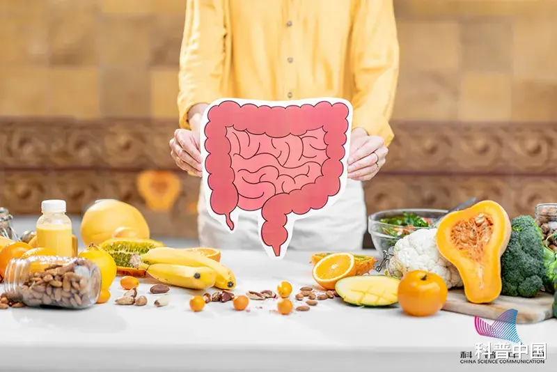 便秘|吓人!一女子的肠子表面像\蛇皮\,竟因长期吃这东西!很多人用它来治便秘…