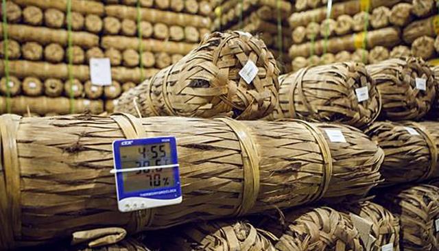 辰仔 东莞库存几十万吨！曾一斤价格炒至上万，今“连买带送”没人要？