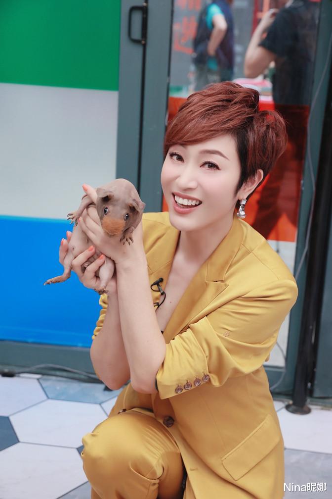 Nina昵娜|陈法蓉西装“钉子户”，穿土黄色西装变女企业家，气场碾压三闺蜜