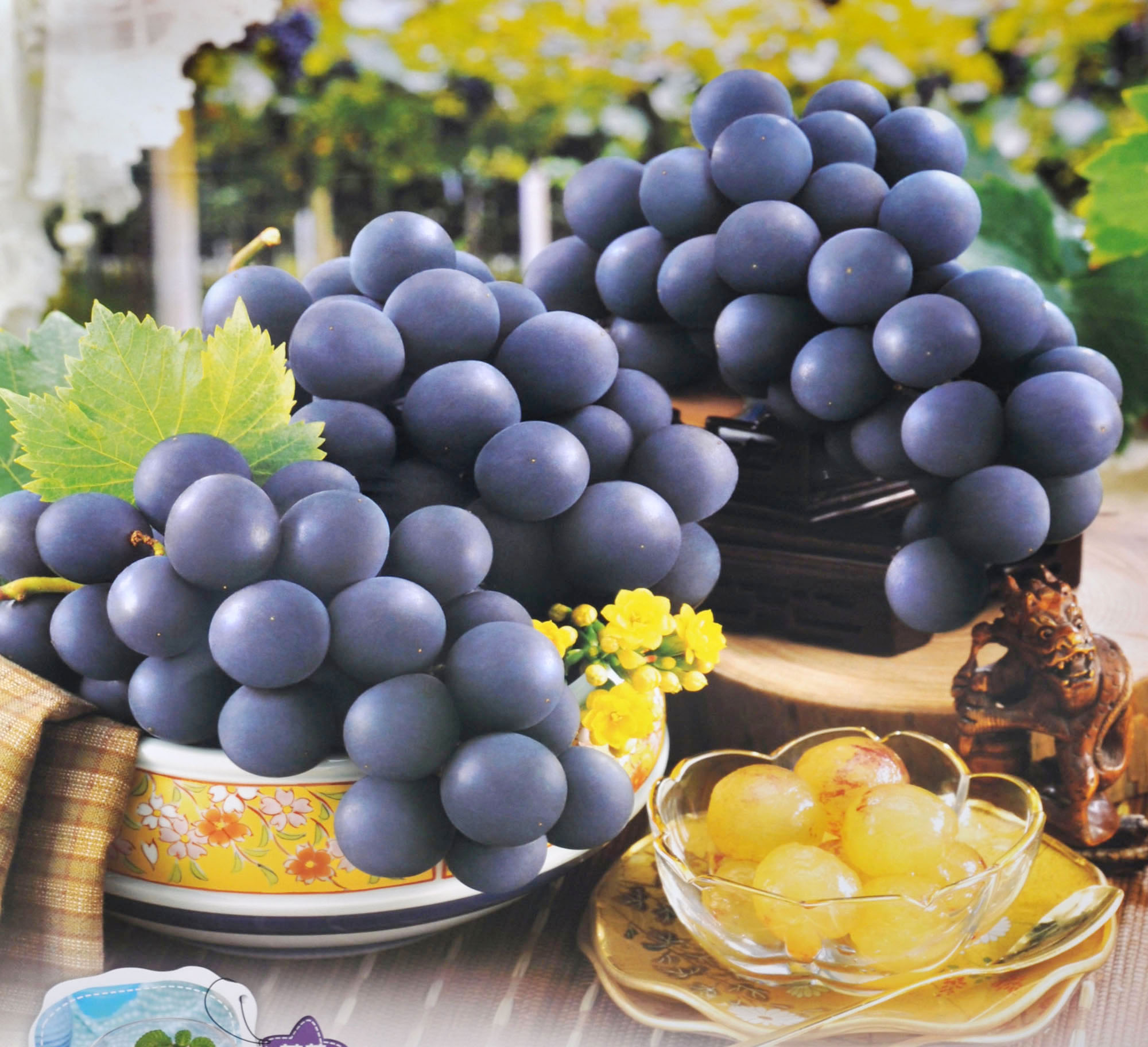 发型 秋季是补血的黄金时段，常吃4种食物，美容养颜、益气补血功效好