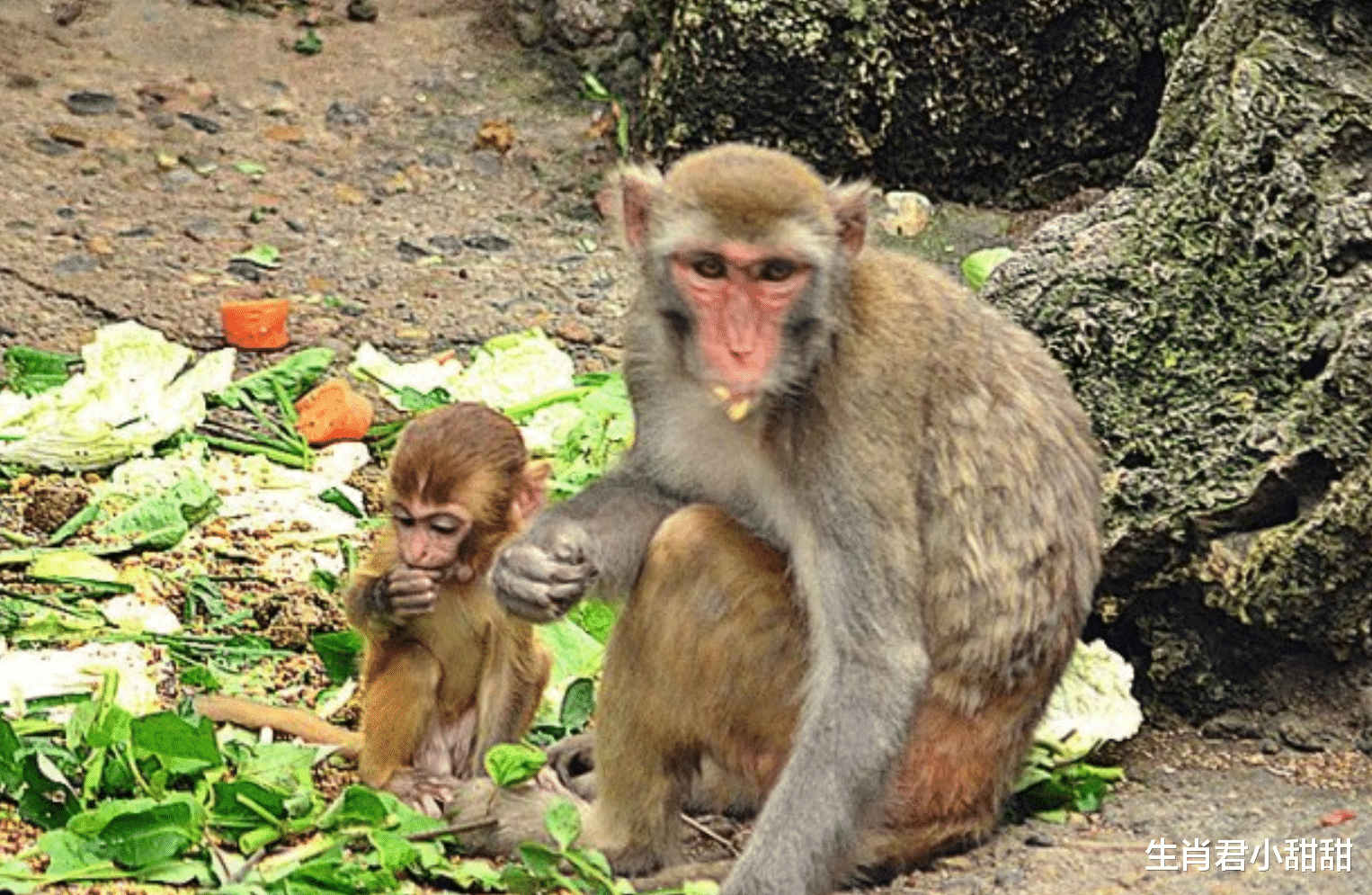 |工作中避免差错，尽善尽美保质保量完成工作，属猴人能力得到赏识