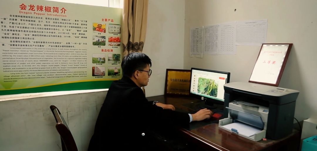 新安江淮 春游江淮请您来：阜南会龙镇——中国“辣椒之乡”