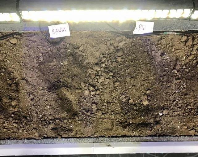 刘争光说家居|砸下20亿美金!快船挑战湖人霸权