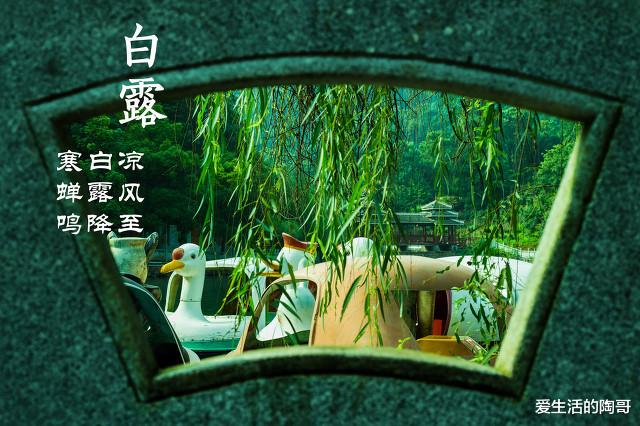 爱生活的陶哥|白露到，吃2粥，饮2水，喝2汤，润秋燥解秋乏，开启健康养生模式