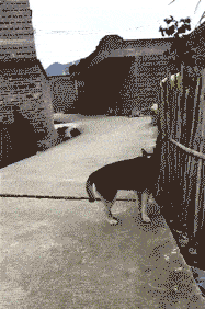 风云视角|搞笑GIF: 这样的赛车比赛，燃烧多少男人的内心