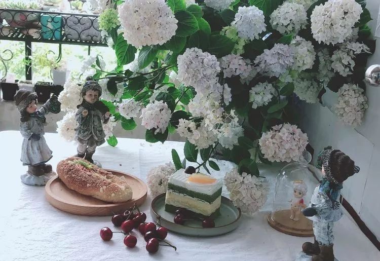 |3㎡的阳台能干嘛？这个宿舍小阳台花园或许会惊艳到你，看看吧！