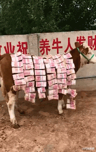 心电图 “现在医生这么大胆了吗，扎双马尾上班？”这心电图能正常吗