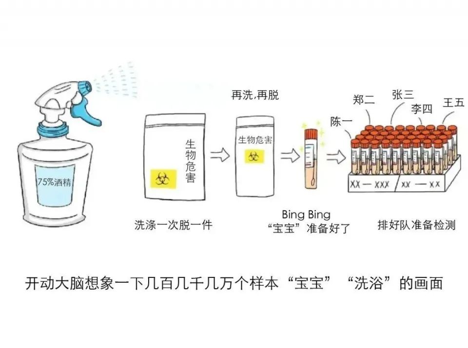 关注:核酸检测报告太慢?看完这篇文章你就明白了!