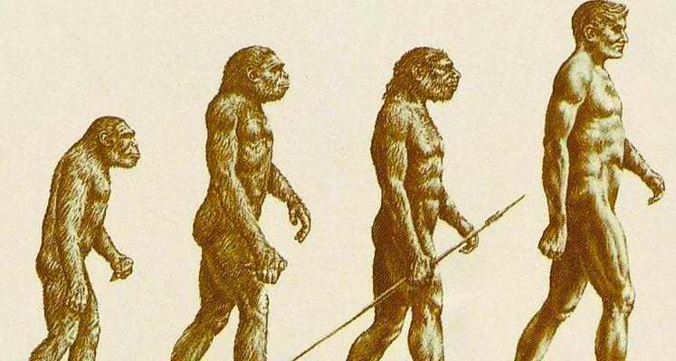 哺乳动物 人类的屁股有多奇特：自然界独一无二，由猿进化成人最重要的标志