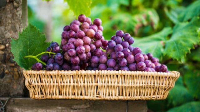 葡萄|肝不好的人,要忌吃葡萄?其实,该少吃的是这4种水果,早做了解