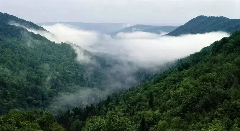 鹤岗|新藏靠边站！这个5w买房10w住别墅的小城，才是打工人的诗与远方！
