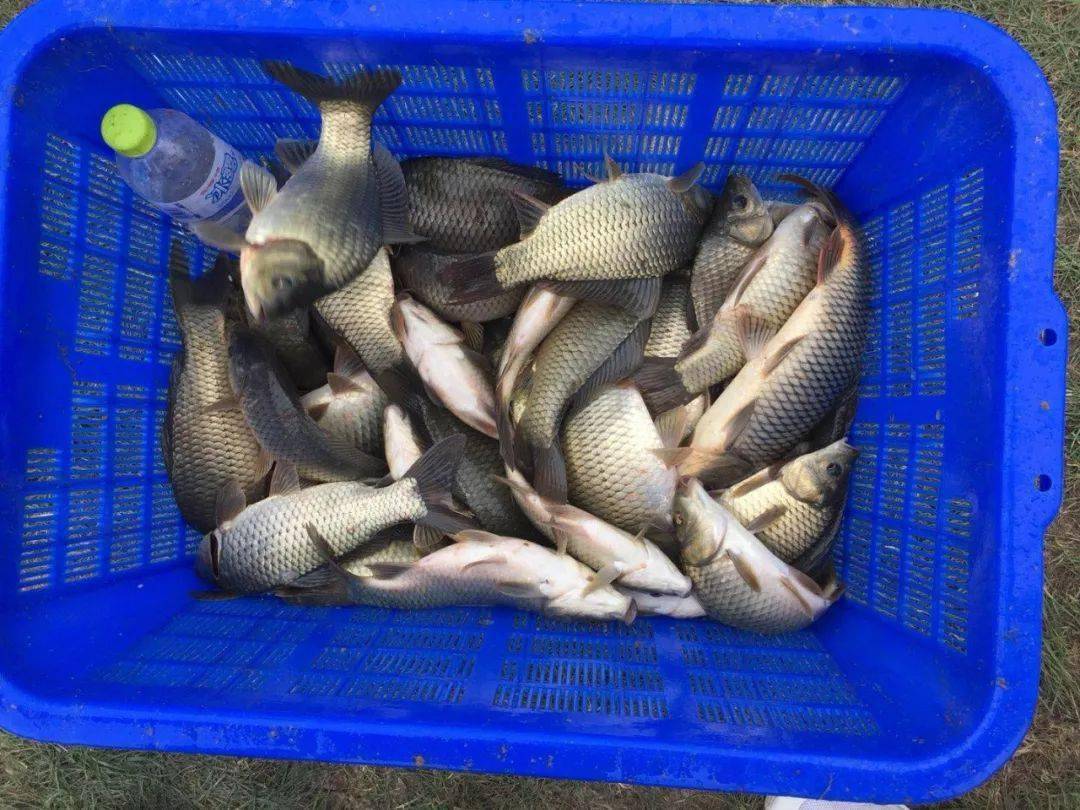 |遇到了这几种情况,想要有渔获,就得学会定点守钓