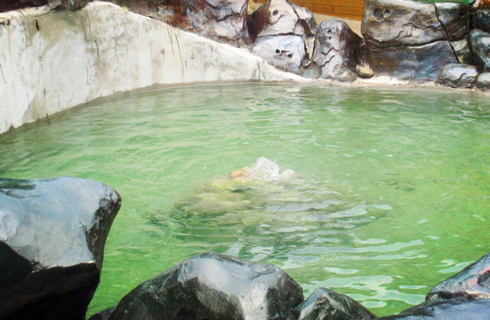 贵州出行 邂逅廻龙溪温泉,初春美景赏不尽