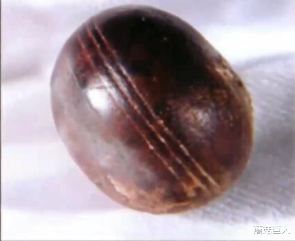 蘑菇巨人|古老地层中的神秘物品，难道真是外星人留下的？多少真相藏在时间的迷雾当中