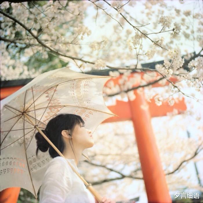 夕言细语 村上春树的一句话让我们明白，离开不是因为不爱了，而是为了尊严