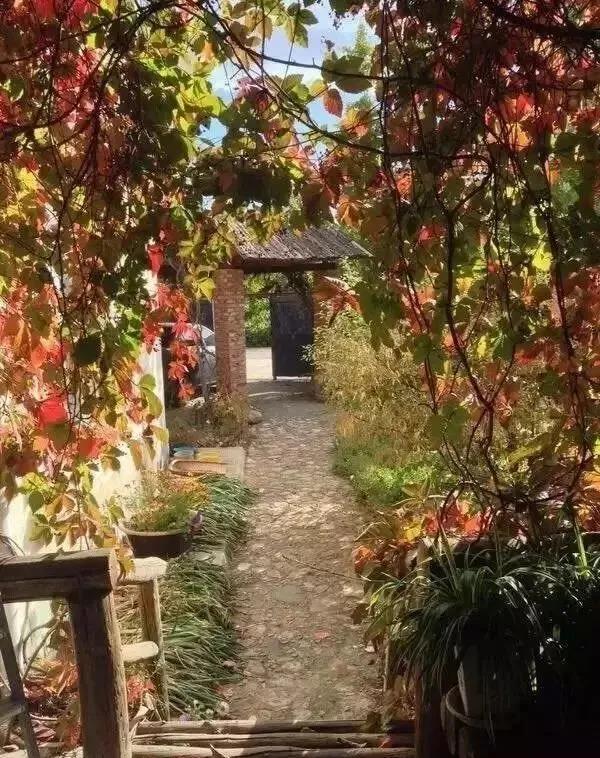 呼呼让我觉得心在跳 央视退休后，这对夫妻靠面包火到法国！慕了：这才是向往的生活