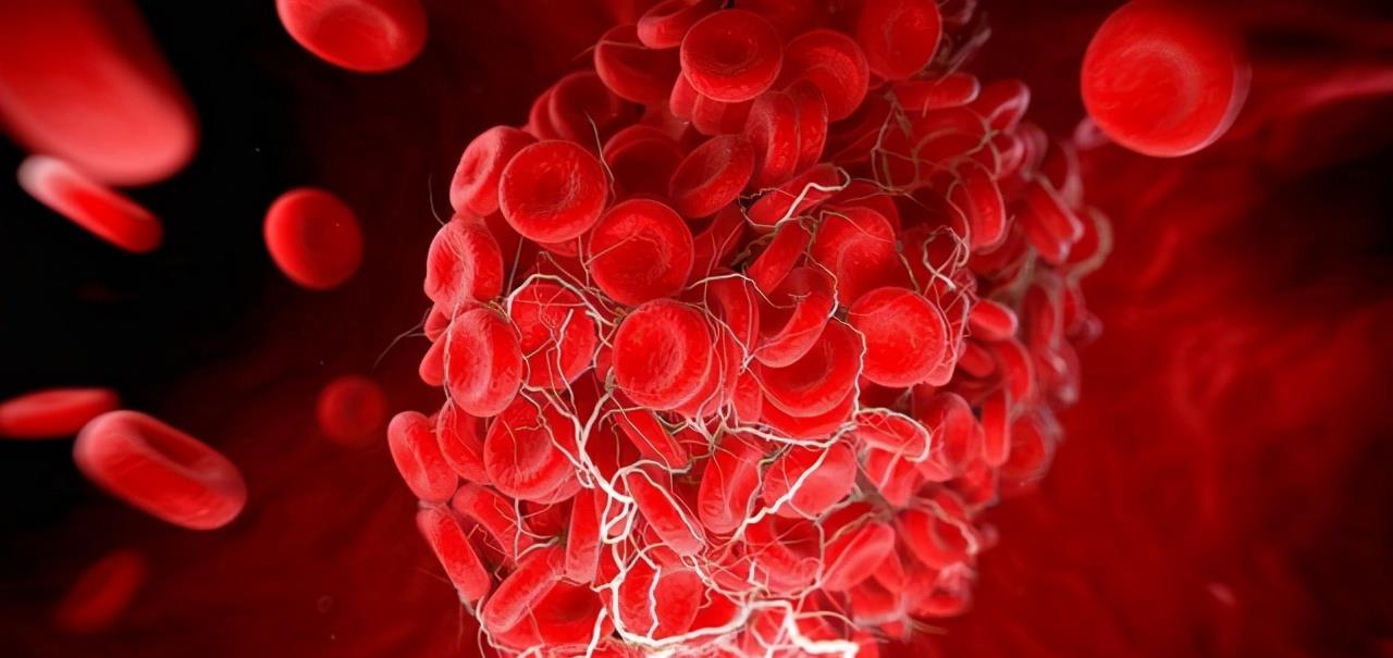 蝙蝠 科学家早就给出答案:人类消灭蝙蝠会造成怎样的毁灭性后果?