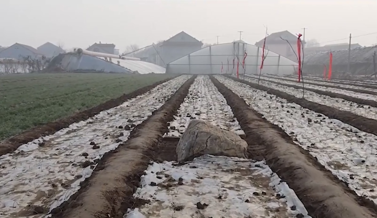 陕西 全球最矮的山，仅仅只有0.6米高，为何无人敢攀登？