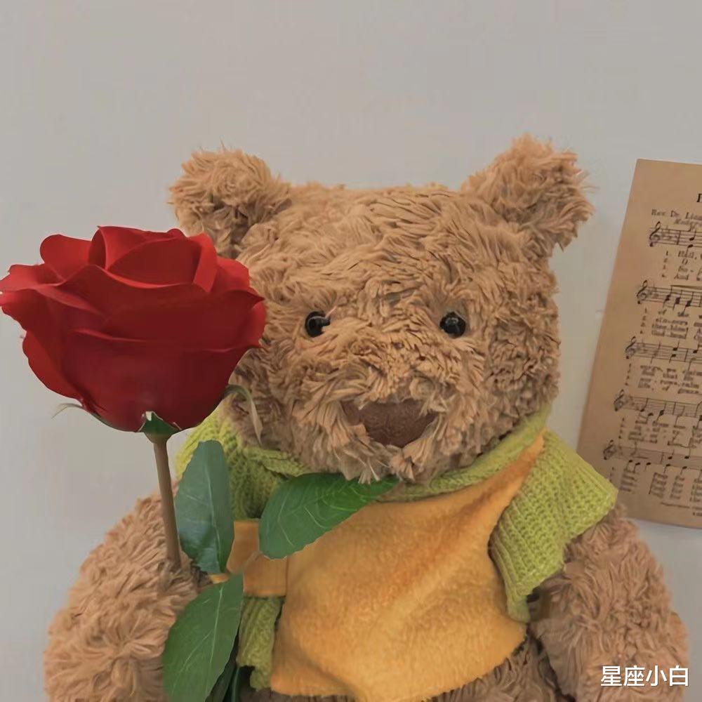 星座小白|感情上的事儿，一向是不凑合的星座