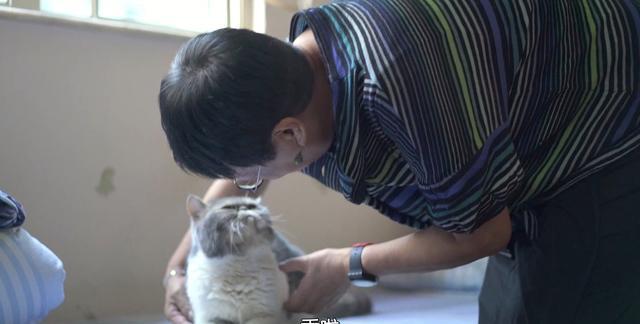 侯明昊|终身未嫁，一辈子租房，74岁的她却拿下12个导演奖