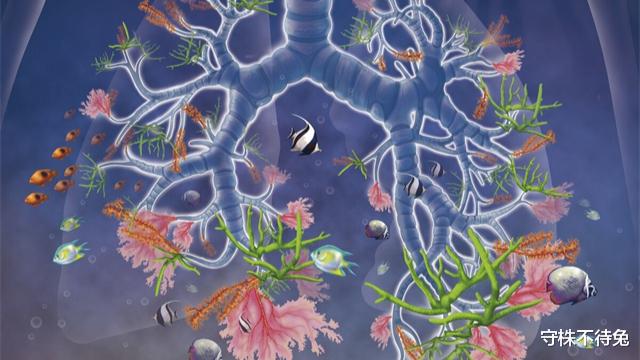  可用之处不多，但却使人渊博的23个有趣冷知识