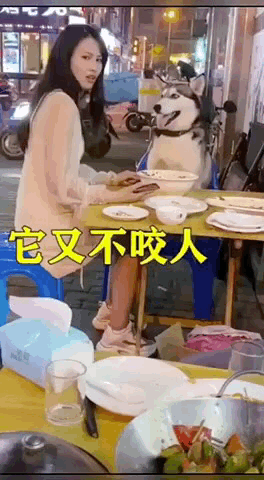 幽默搞笑神回复|神回复：事实证明喝酒可以延续生命，有事实有真相！哈哈哈哈！
