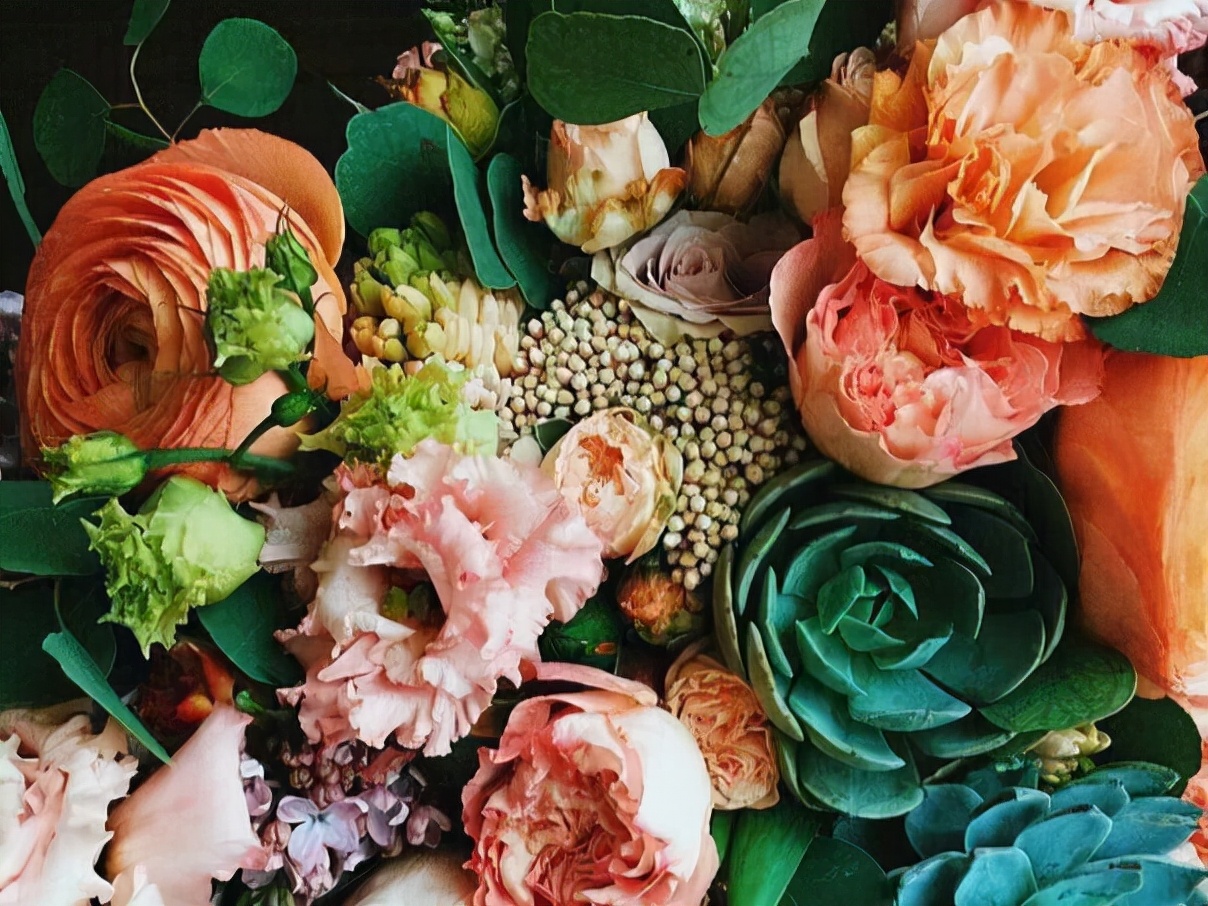 星座师安达 看似温和，实则逻辑清晰的星座，用很软的话，说着很硬的道理