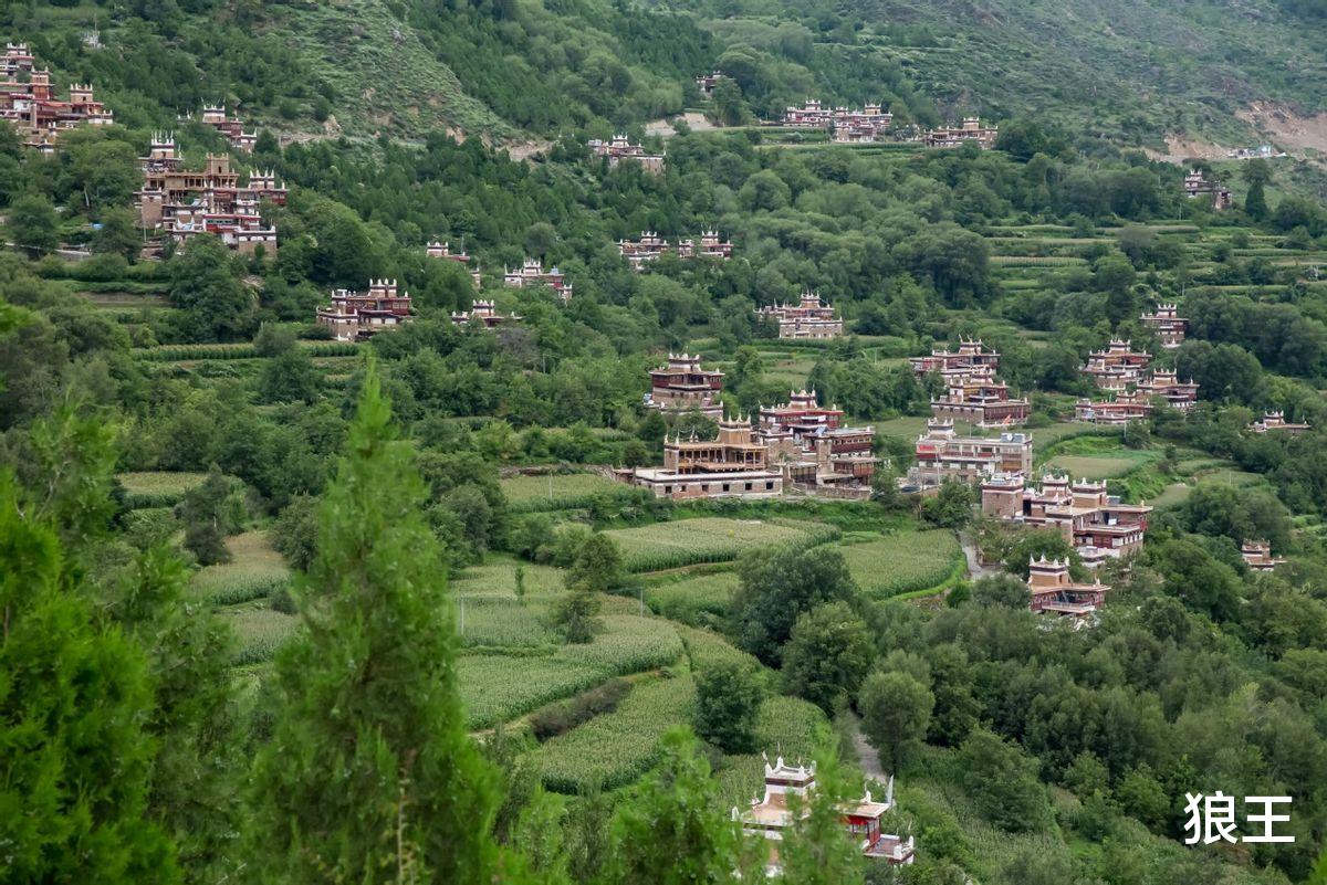 狼王|离过婚的过来人:婚姻中,别太作了,要不是容易遭报应!