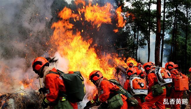 贾玲|《王牌6》幸亏他情商高，反应快，严厉纠正贾玲，否则贾玲就惨了